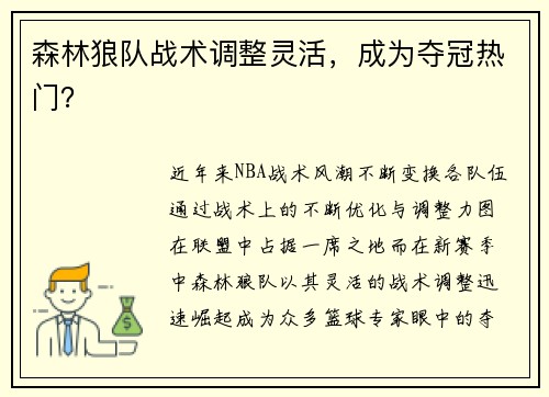 森林狼队战术调整灵活，成为夺冠热门？