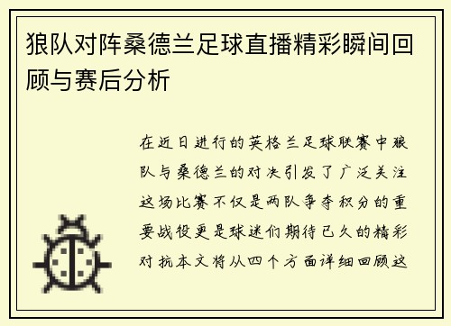 狼队对阵桑德兰足球直播精彩瞬间回顾与赛后分析
