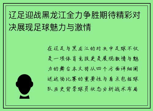 辽足迎战黑龙江全力争胜期待精彩对决展现足球魅力与激情