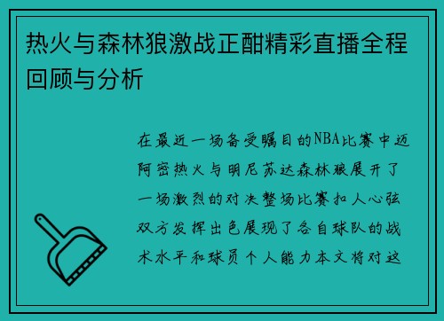 热火与森林狼激战正酣精彩直播全程回顾与分析