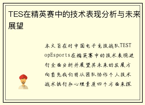 TES在精英赛中的技术表现分析与未来展望