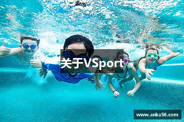 关于VSport